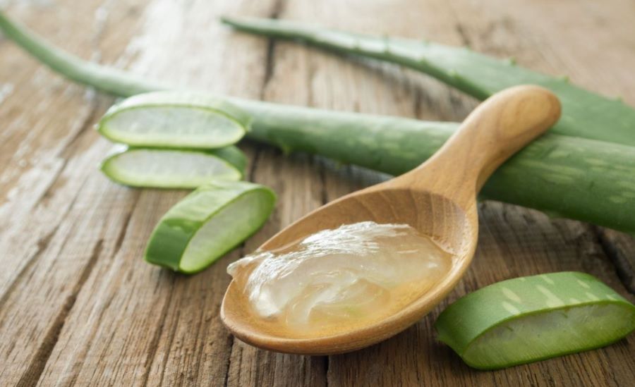 Aloe in gravidanza sul viso: avvertenze e consigli