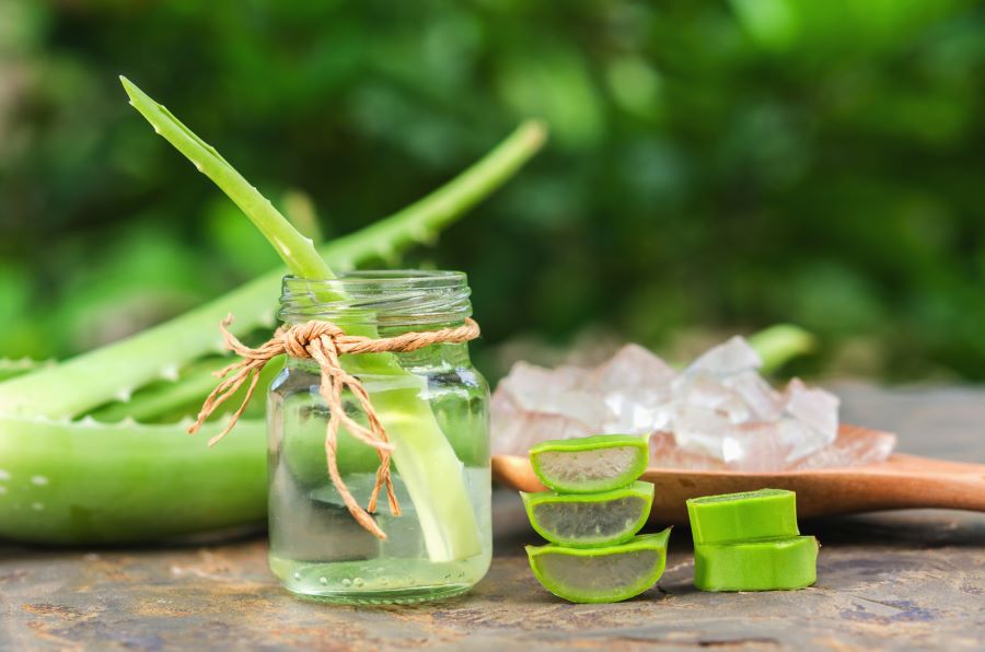 Aloe vera sul viso tutta la notte: pro e contro